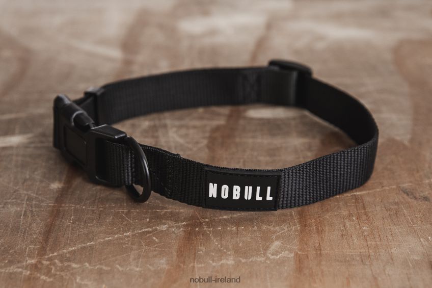 NOBULL N68P2P2962Dog Collar (1 Inch)