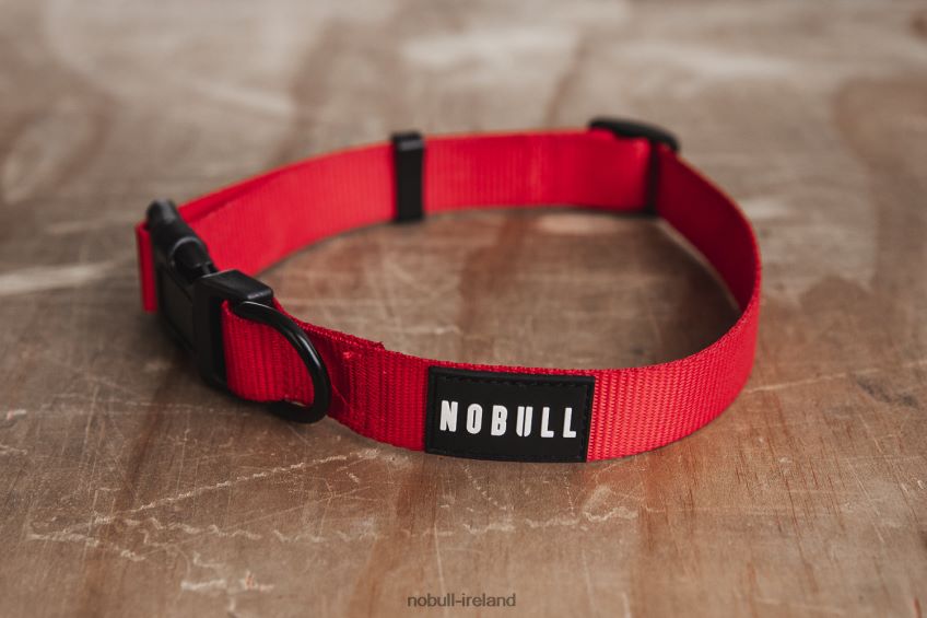 NOBULL N68P2P2963Dog Collar (1 Inch) Red