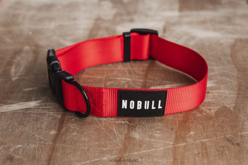 NOBULL N68P2P2964Dog Collar (1.5 Inch) Red