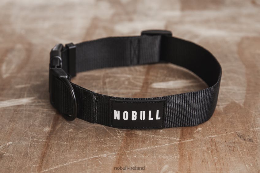 NOBULL N68P2P2965Dog Collar (1.5 Inch)